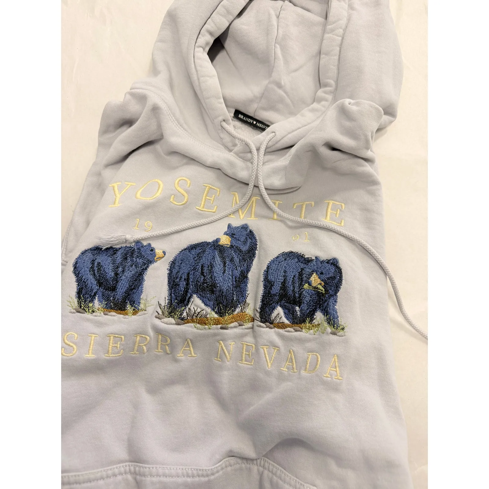 Brandy Melville Christy Yosemite 1991 Sierra Nevada Hoodie Japan Exclusive‎ Fall - Image 3