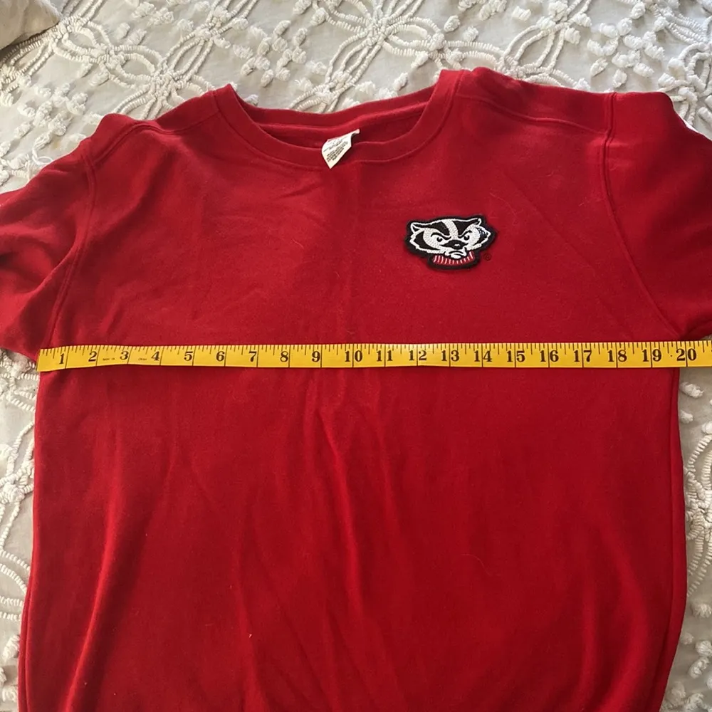 PINK badgers oversized crew - Image 6