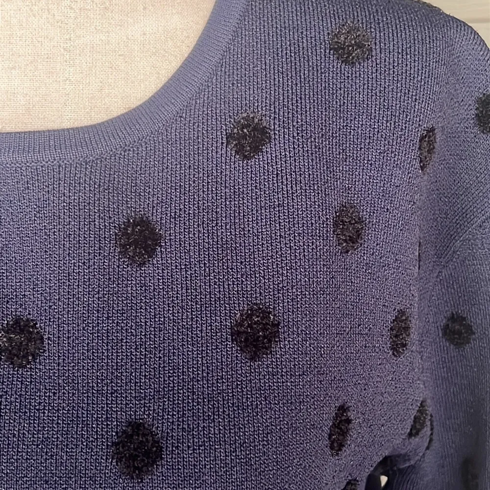 Thakoon Collective Polka Dot Sweater Blue - Image 3
