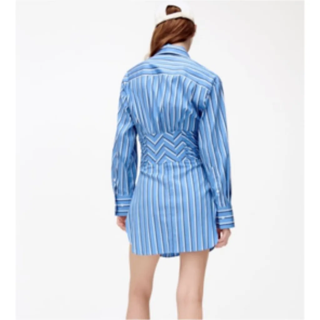 Zara Cotton Poplin Striped Hourglass Fitted Belted Shirt Dress Small - Image 3