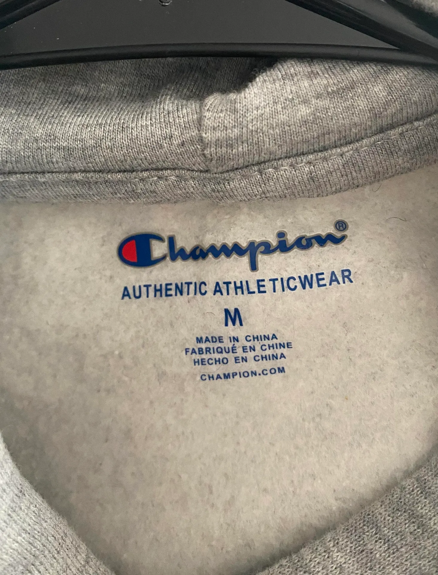 Champion Hoodie - Image 3