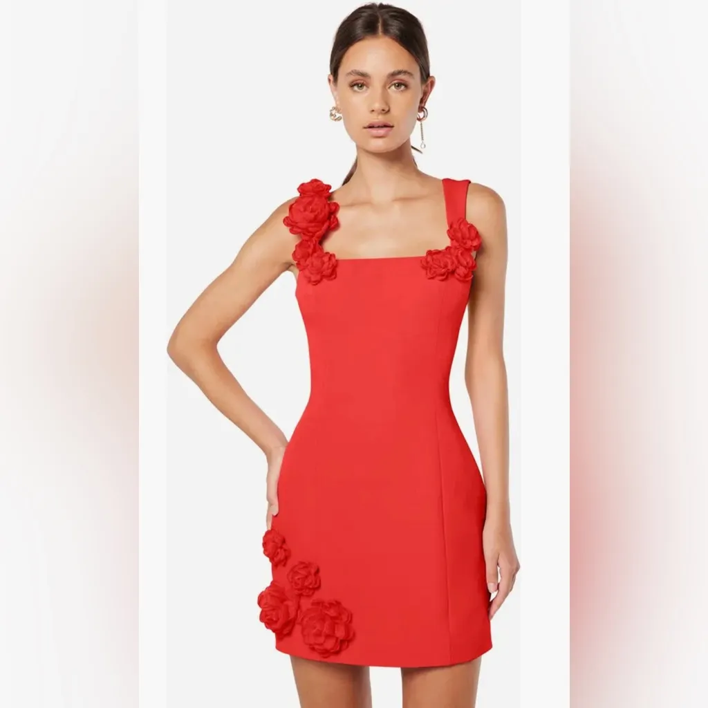 Elliatt  Red Mini Dress - Image 3