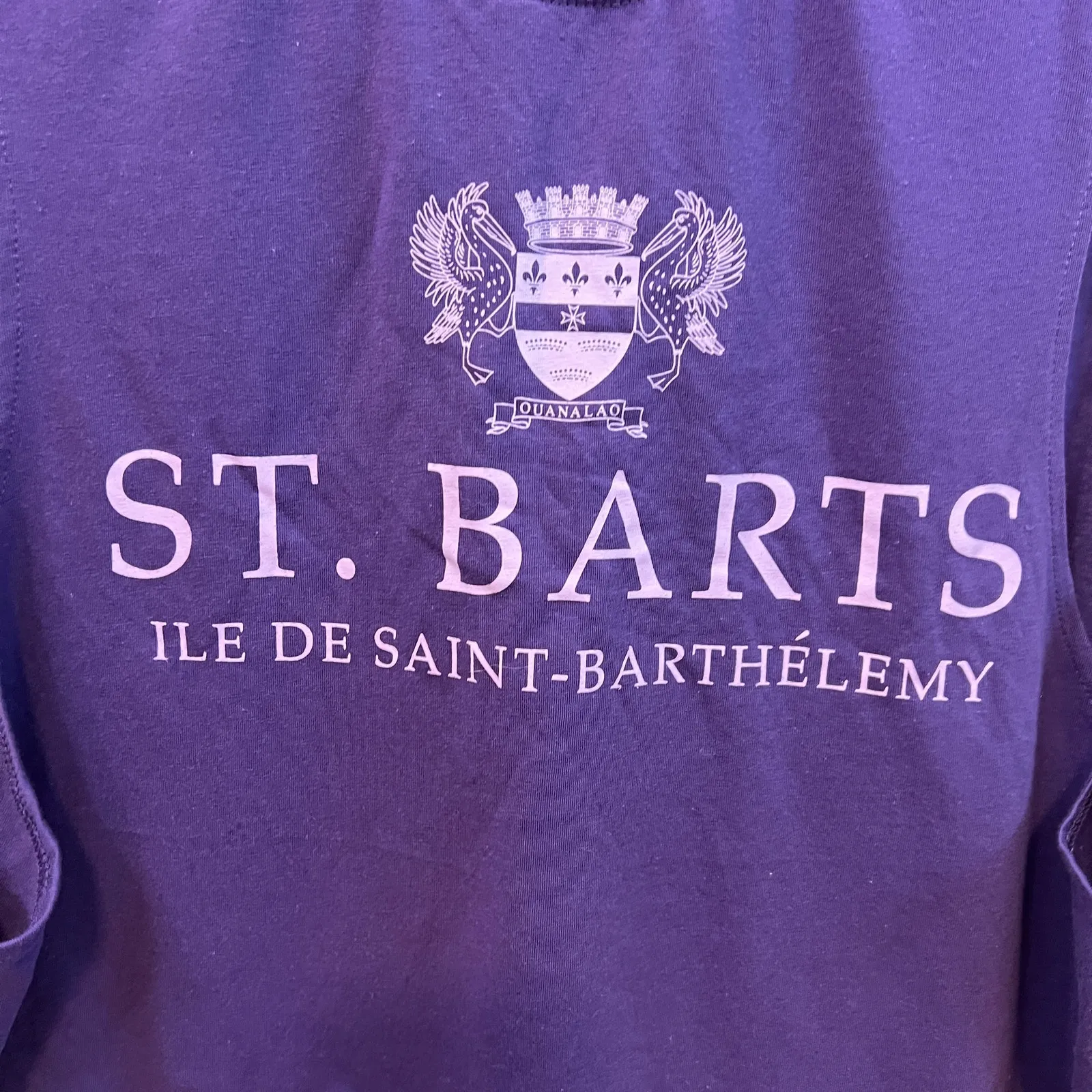 St. Barts Women's Plum Purple Graphic Tank Mini Dress - Image 4