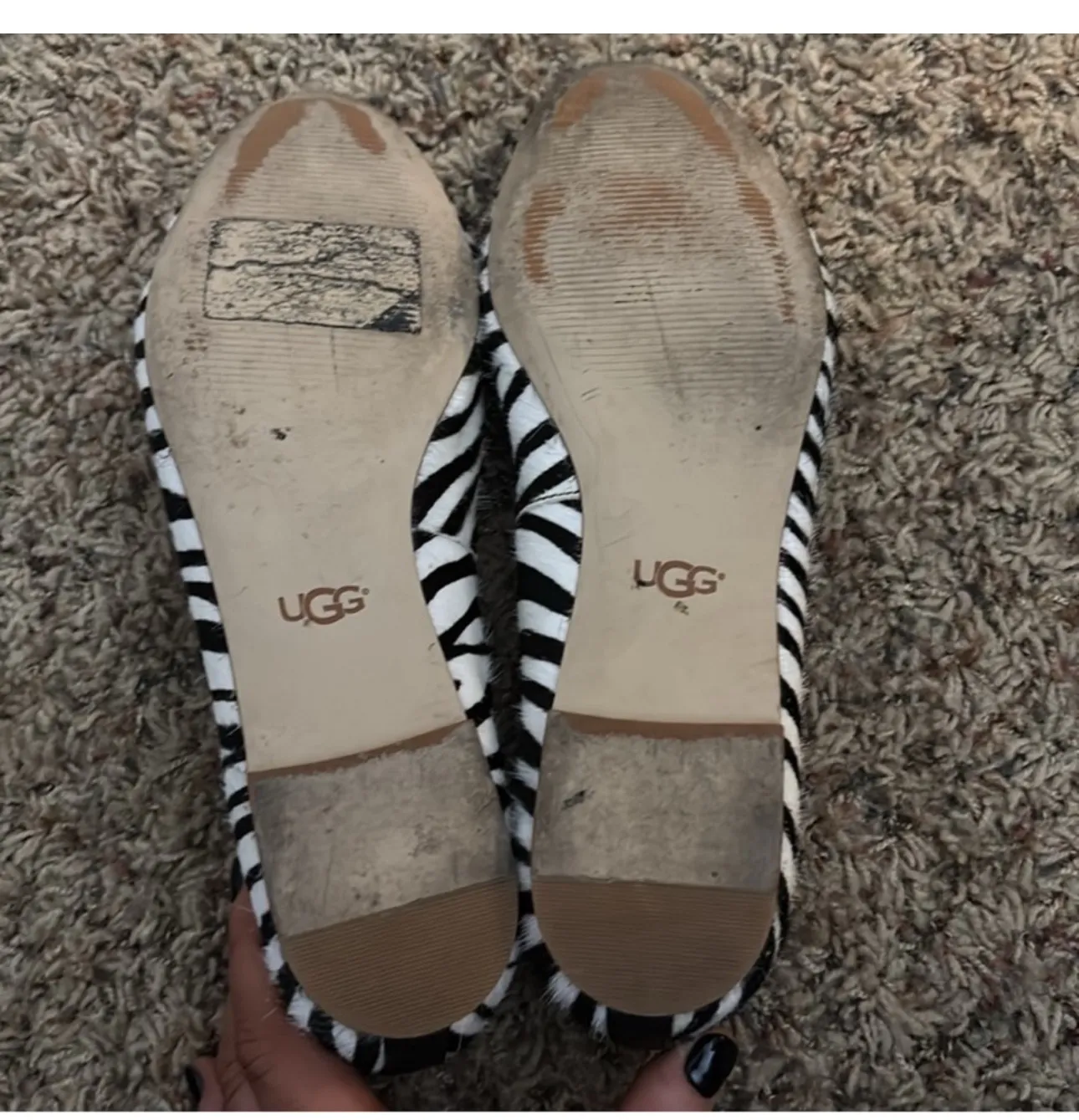 Zebra Flats - Image 10