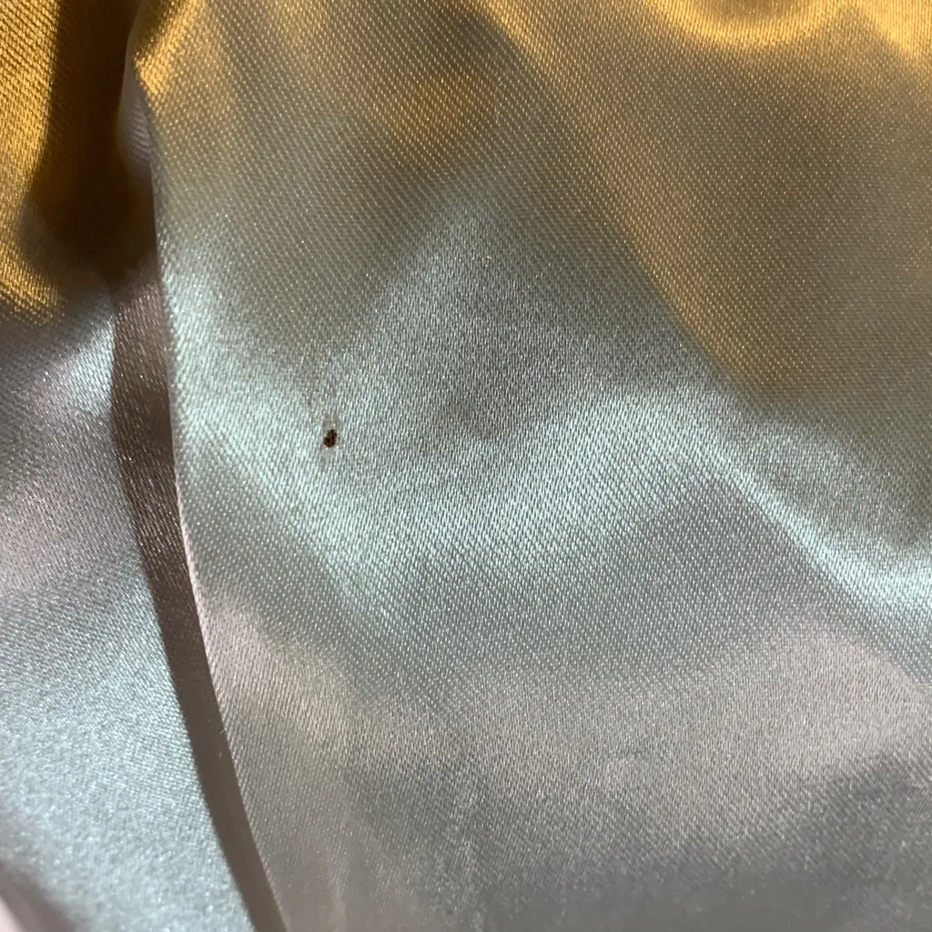 Antique Vintage Cream Satin and Lace Wedding Dress with Buttons Size XS White - Image 12