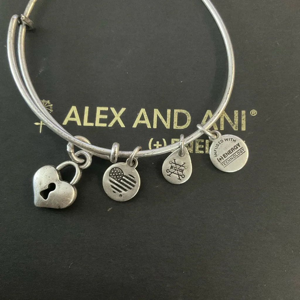 NWT ALEX AND ANI PATH OF LIFE CHARM BANGLE BRACELET RETIRED - Image 6