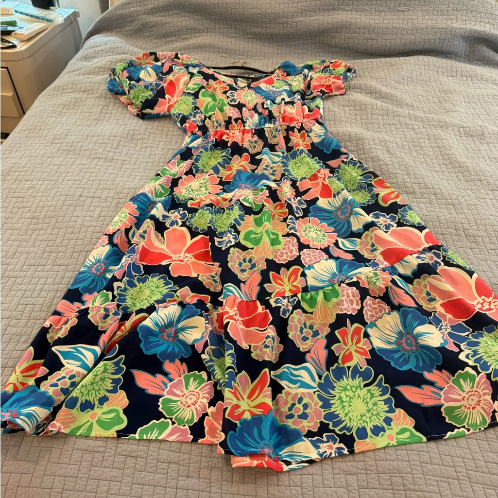 Umgee Blue Pink Puff Sleeve V-Neck Sundress - Image 5