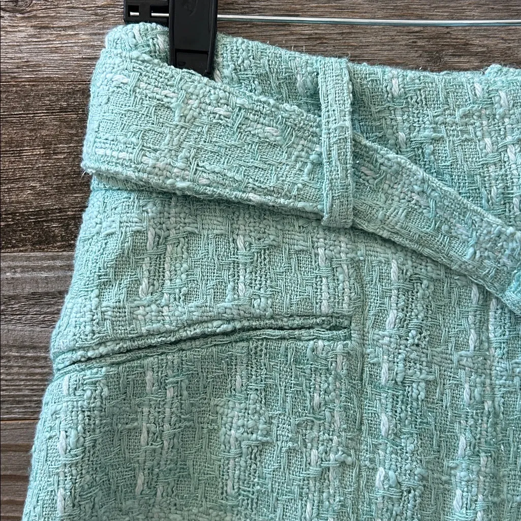 IRO Zaira Shorts in Aqua High Waist EU Size 34 US 4 NWT - Image 4