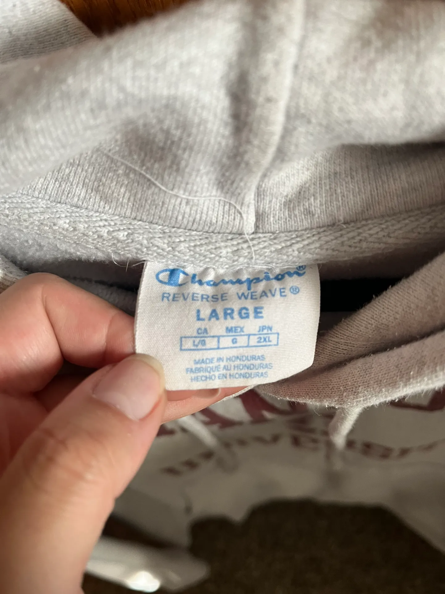 Champion Hoodie - Image 3