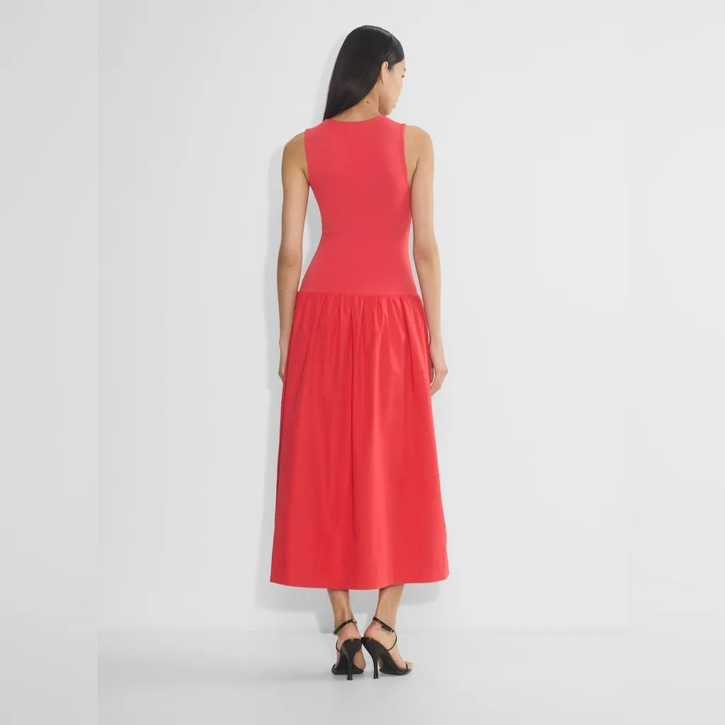 Aritzia Babaton Worldly Dress - Image 5