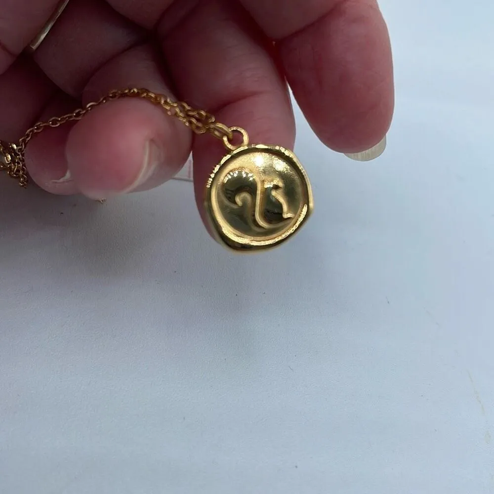 Boutique Squirrel pendent on 16” chain 1:5” extender gold colored - Image 8