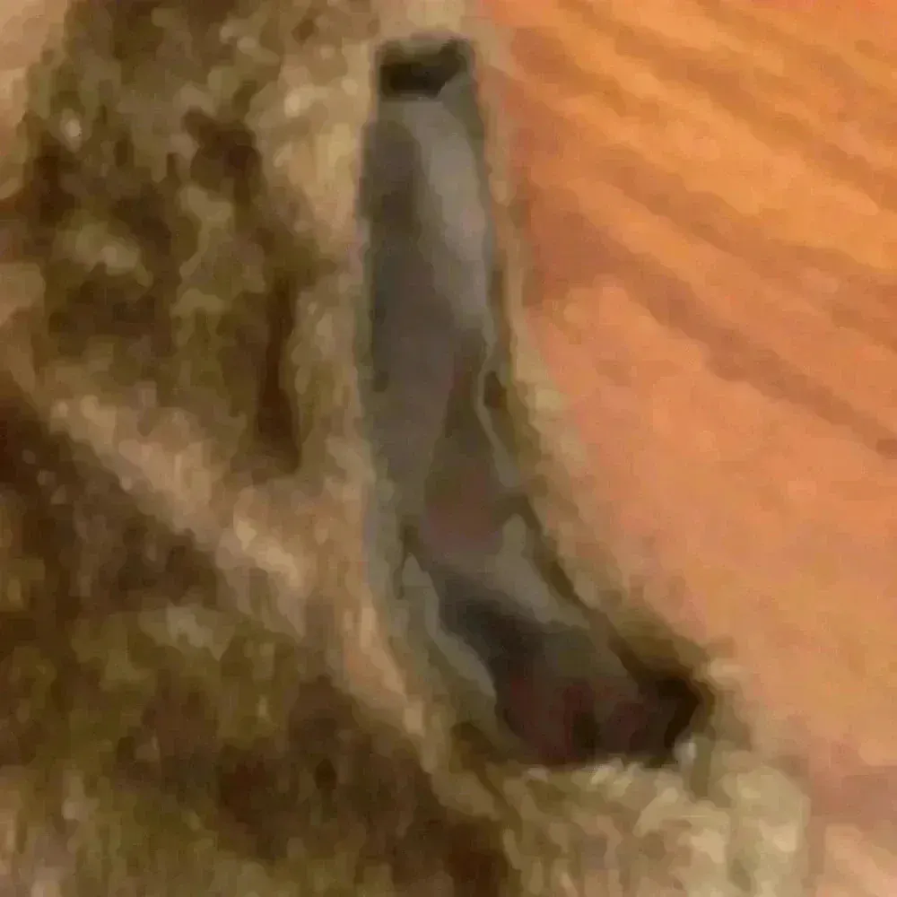 Faux Fur Vest size Medium - Image 5