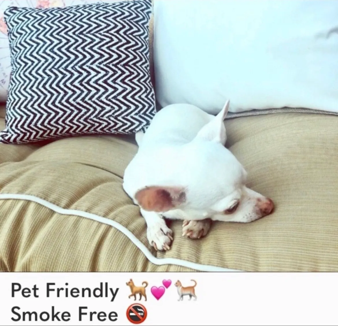 Wildfox NWOT   bikini - Image 11