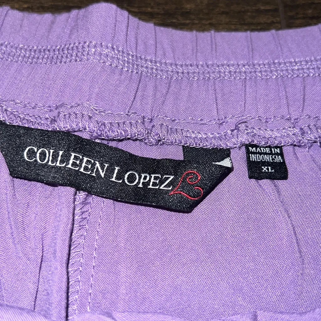 NWOT Colleen Lopez High Waisted Pull - Image 4