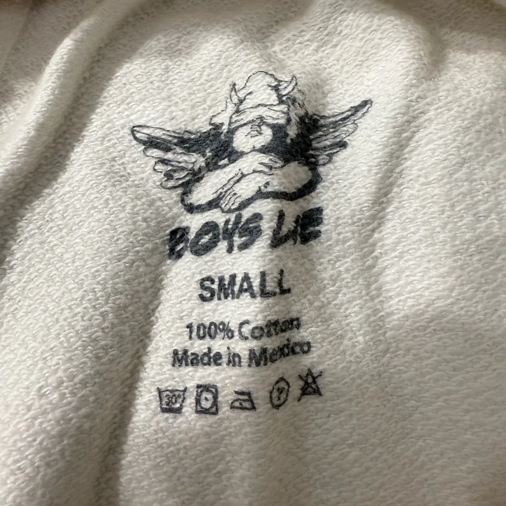 Boys Lie High Waisted Cherry Pie
Sweat Shorts - Image 6