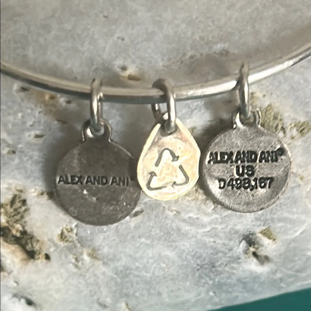 Alex and Ani Silver Tone “Happily Ever After” Bride Bangle Charm Bracelet - Image 5