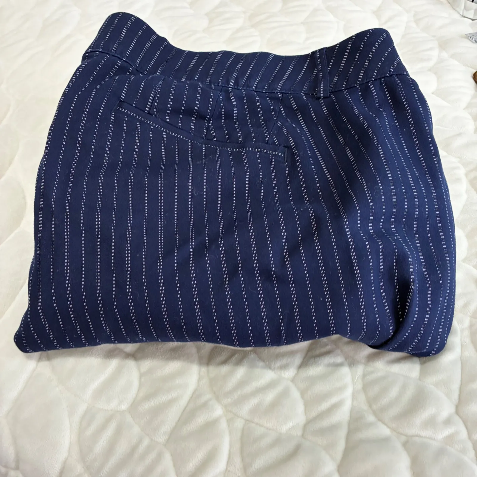 Lane‎ Bryant The Ashley Modernist Collection Blue Pinstripe Crop Pants Size 28 - Image 10