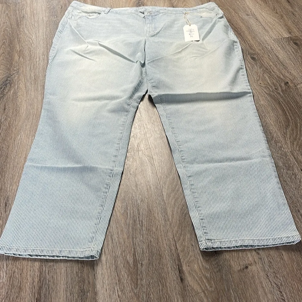 Slim Leg Striped Jeans Size 24W - Image 5