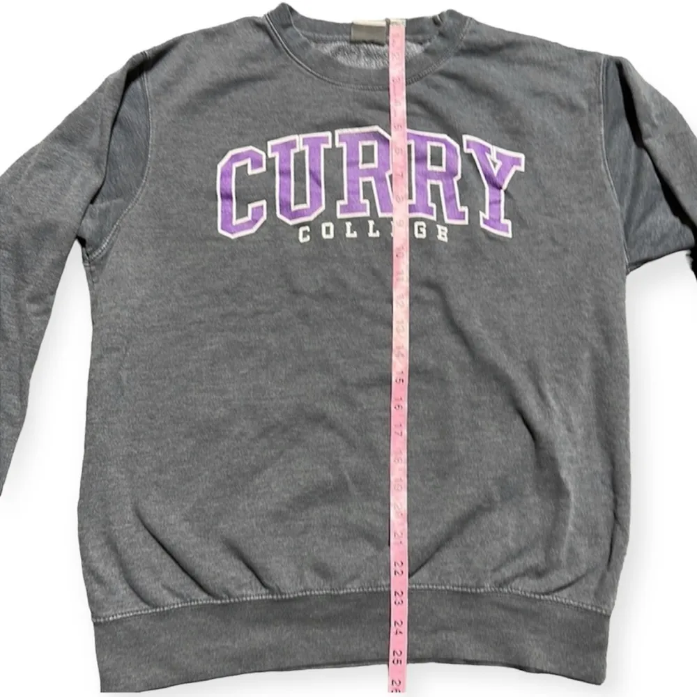 Curry College sweatshirt Gray Size M - Image 7
