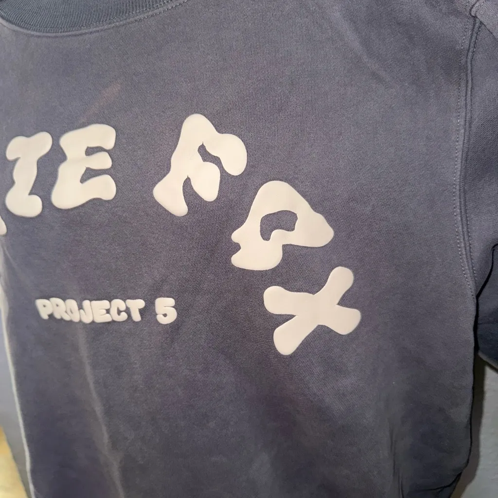 White Fox Gray Sweatshirt L/XL Vol. 5 (Last Slide Shows Flaw Tiny Bleach Stain) - Image 4