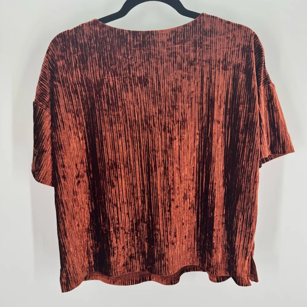 Banana Republic Factory Women's Crinkle Velvet Top In Muir Wood Size Small NWT - Image 2