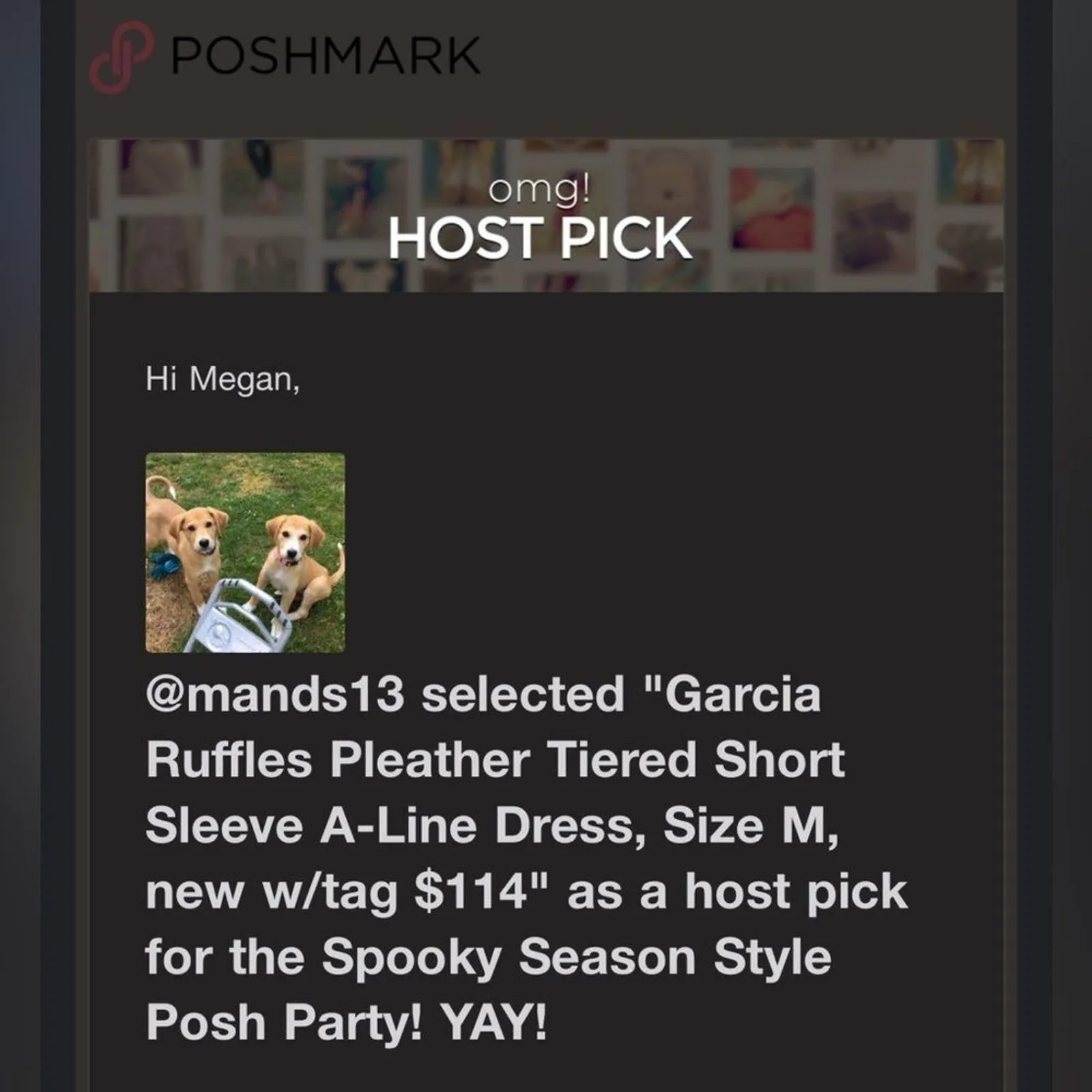 GARCIA Ruffles Pleather Tiered Short Sleeve Dress Size M New w/ Tag MSRP $114 Black Size M - Image 9