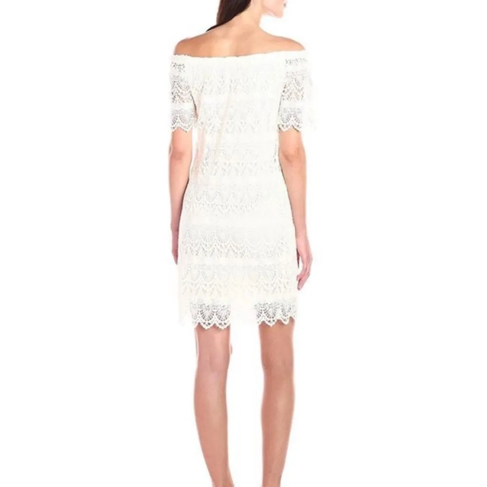 Velvet by Graham and Spencer Ivory Lace Shift Dress Anthropologie - Image 5