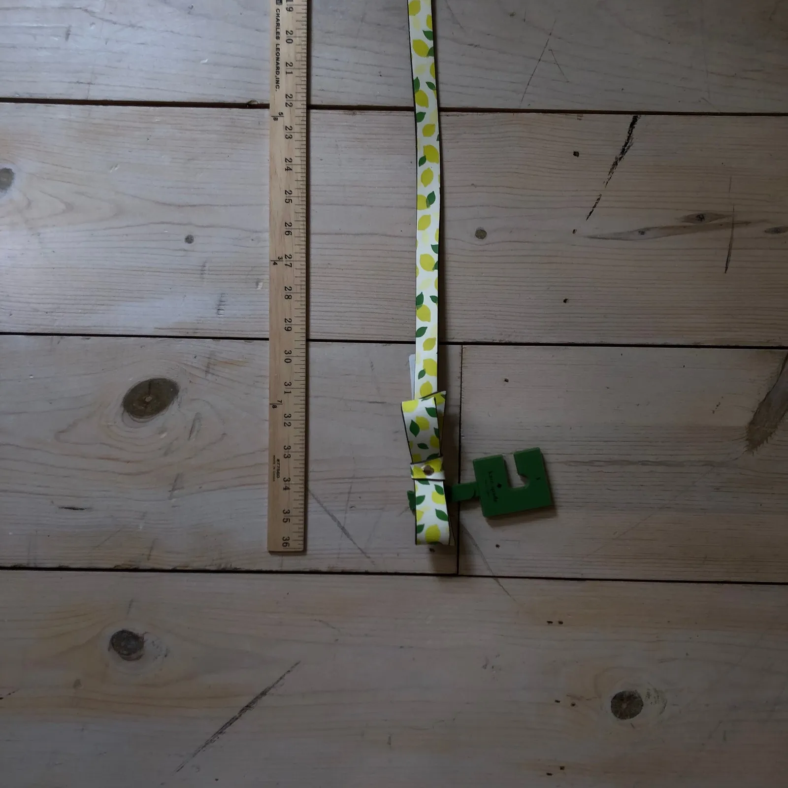 Kate Spade New York NWT Leather Lemon Belt Size S - Image 5