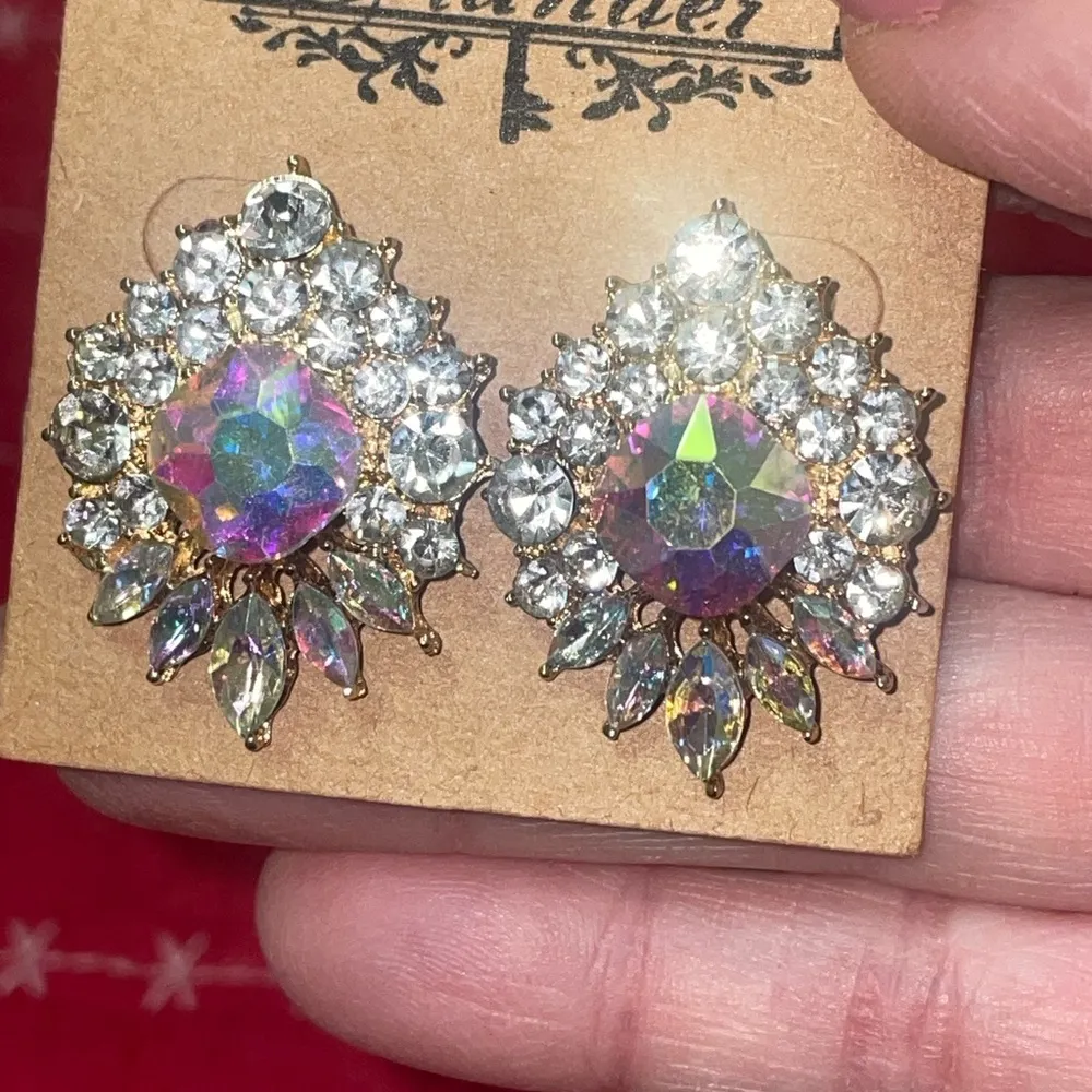 Plunder Silver Crystal Earrings - Image 2