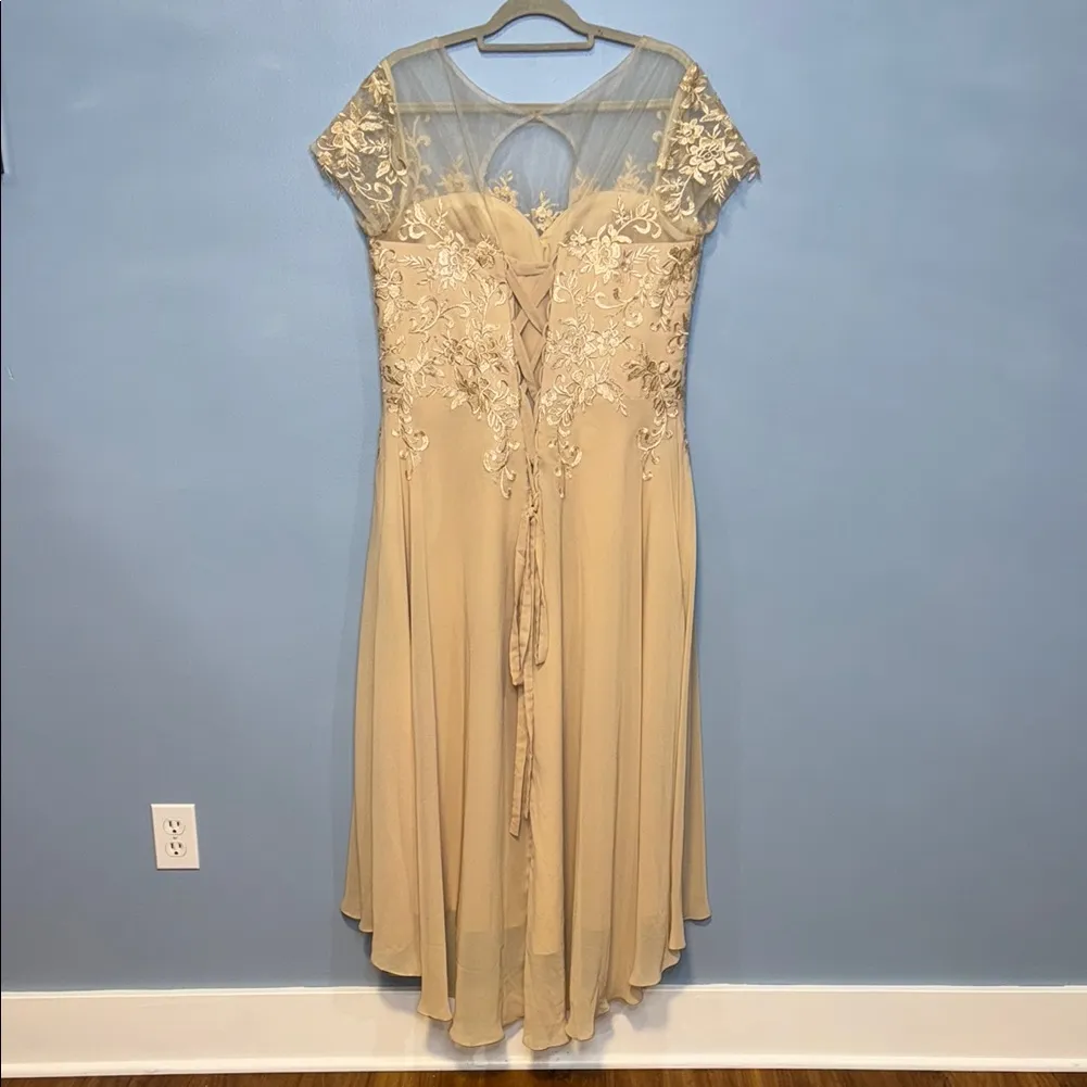 Taupe Sequin High Low Gown with Flutter Cap Sleeves Size 18W - Image 4