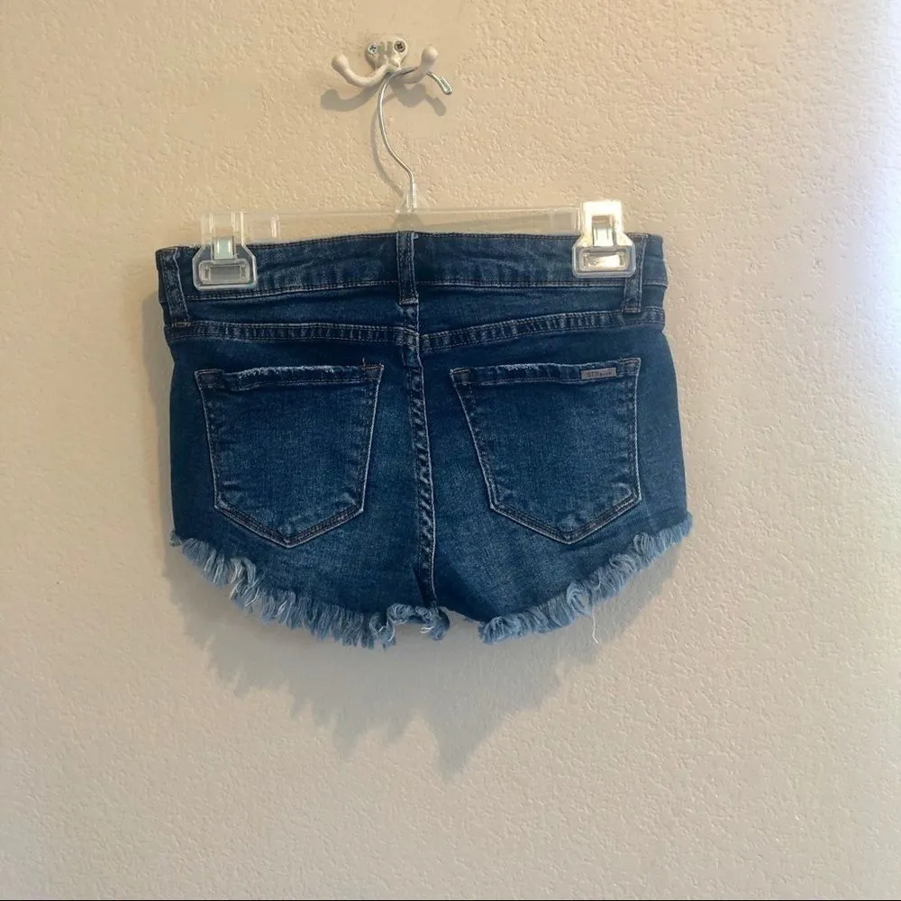 STS Blue embroidered cutoff shorts 24 - Image 3