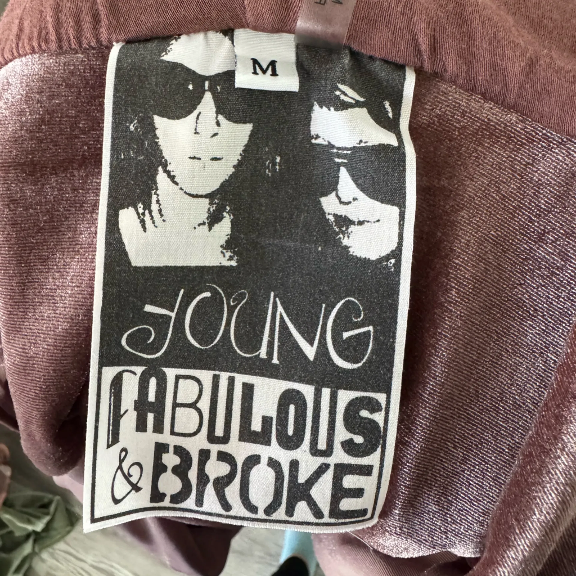 Young Fabulous & Broke‎ Dusty Rose Velvet Fritzy Hoodie Jacket Size Medium - Image 5