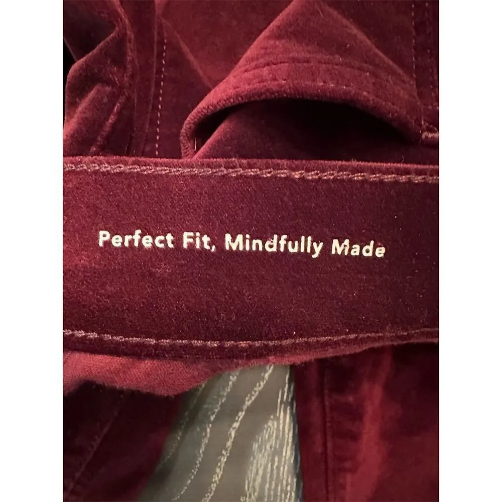 Adriano Goldschmied Women's Burgundy Velvet High Rise Skinny Pants 28 Red - Image 9