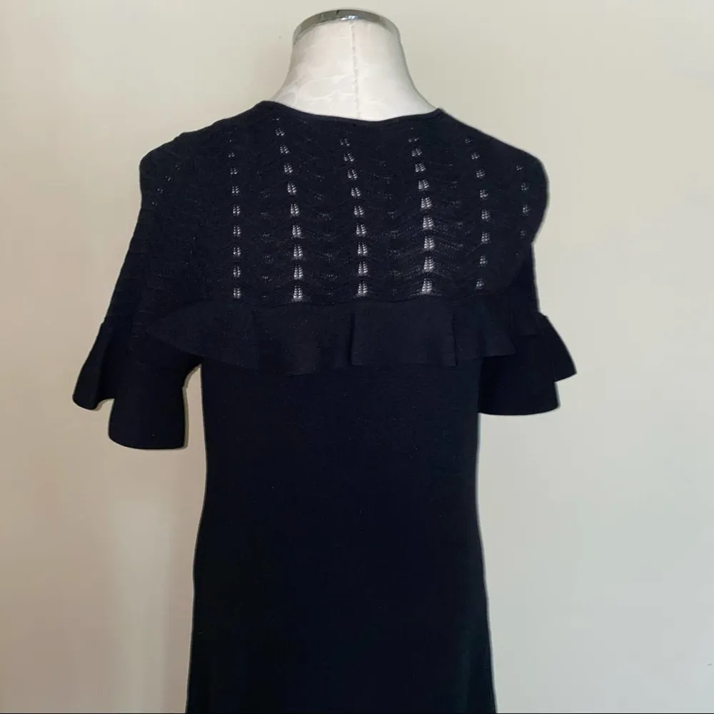 Ann Taylor Sweater dress with ruffle top, flare sleeves and flounce hem sz small - Image 95