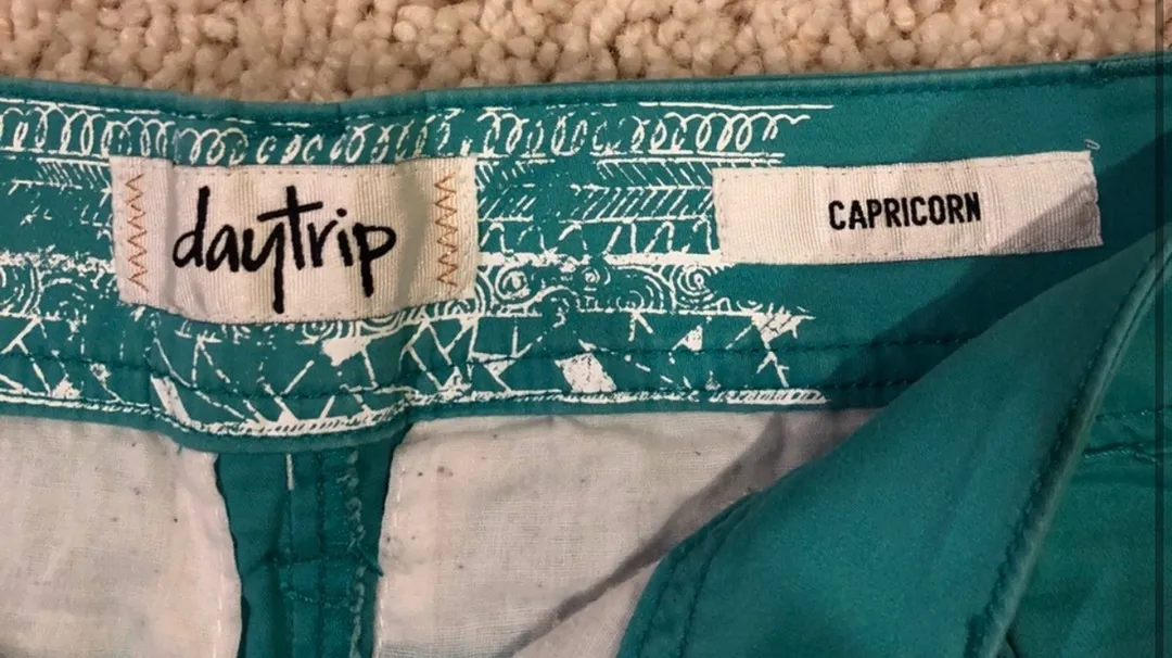 Buckle Daytrip Shorts - Image 3