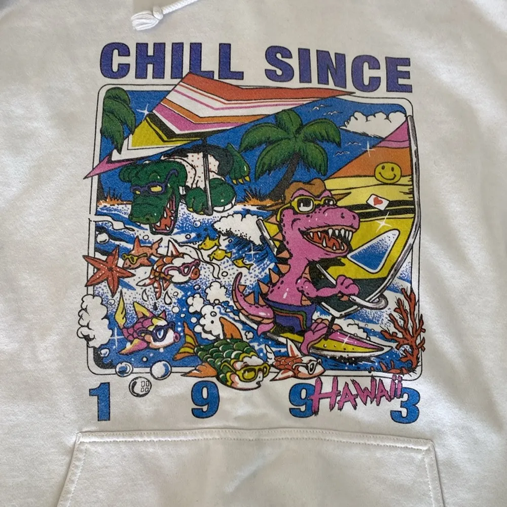 Brandy Melville oversized hoodie sweatshirt chill since 1993 Hawaii - Image 2