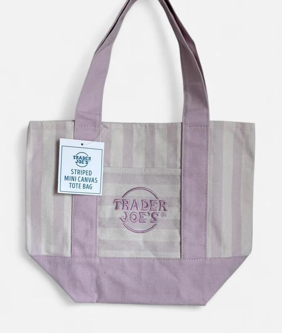 🚨 VIRAL STRIPED MINI TOTE BAG (NWT) Trader Joe's Striped Mini Canvas Tote Bag