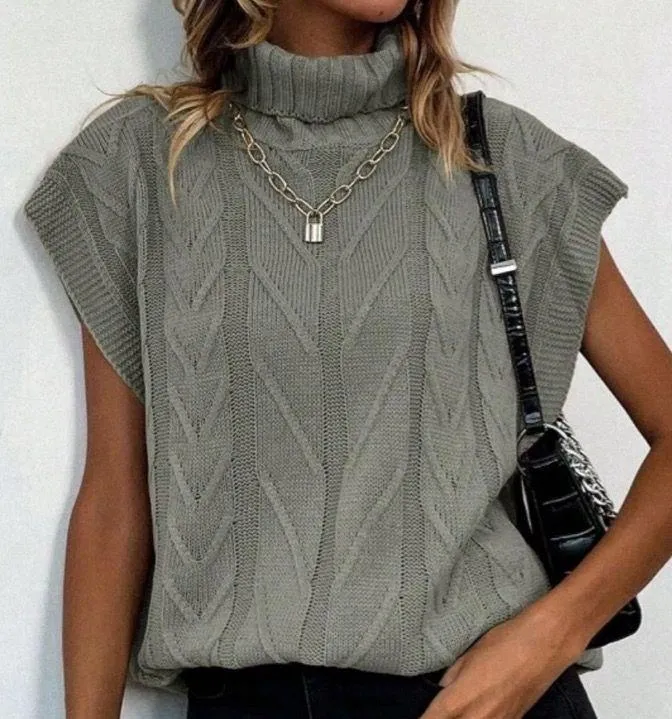 Solid Turtleneck Knit Top
