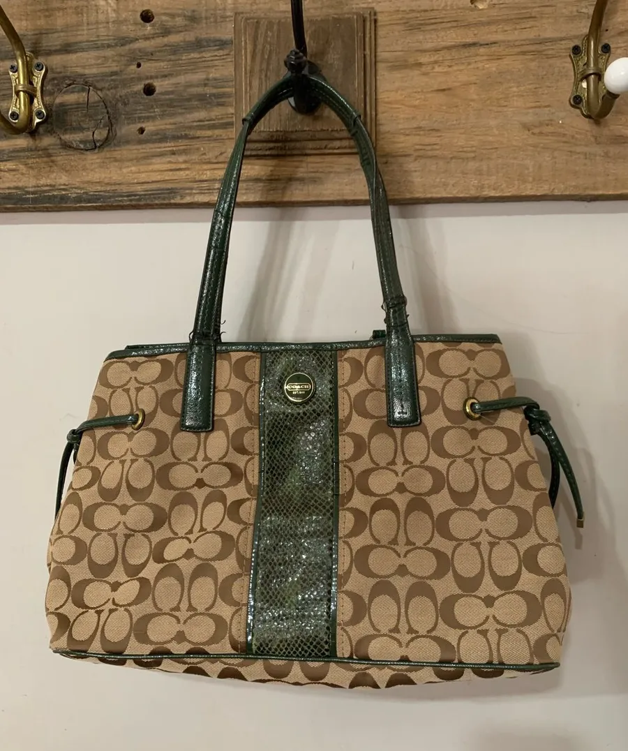Coach F24882 Signature Python Stripe Carryall Tote Bag