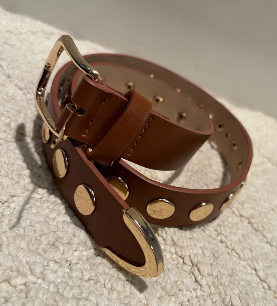 Brown Gold Studded Statement Belt Western Boho