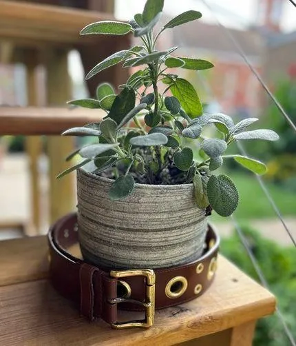Brown Leather Belt