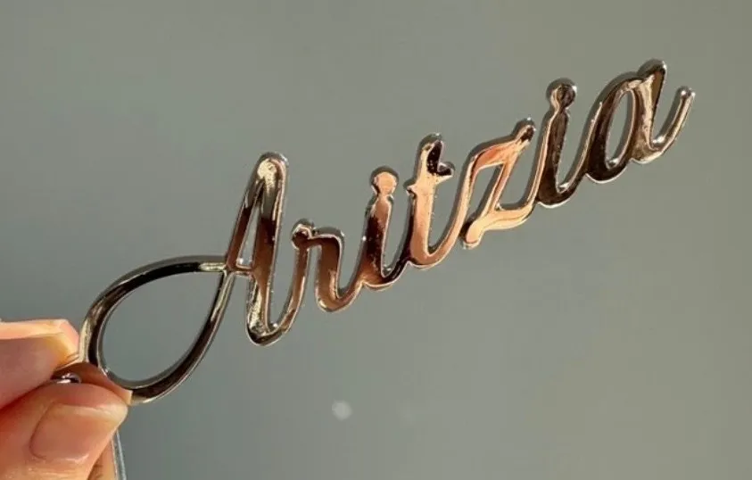 Aritzia Wallet Handbag Charm Purse Keychain Accessory Collectors Everyday Luxury