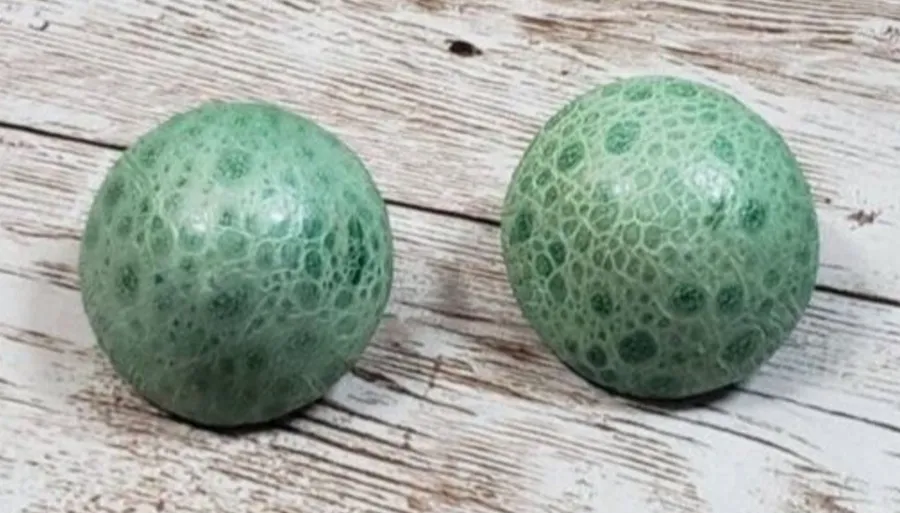 Vintage Clip On Earrings Green Scale Pattern Circle