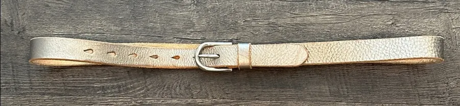 American Eagle Outfitters Large Vintage Y2K Silver Metallic Genuine Leather Belt