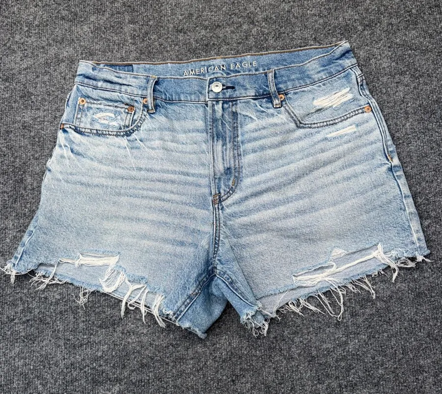 American Eagle Outfitters Light Wash Distressed Denim Relaxed Shorts