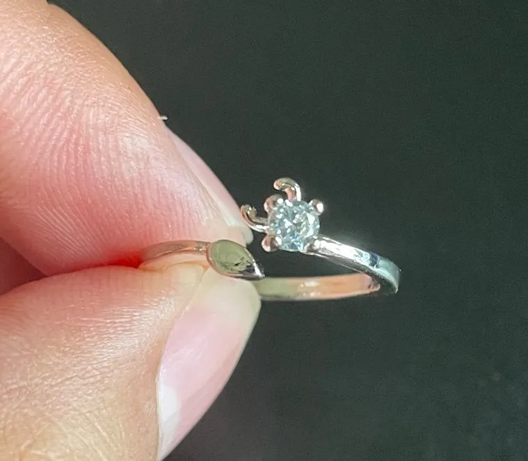 S925 Constellation Taurus adjustable ring