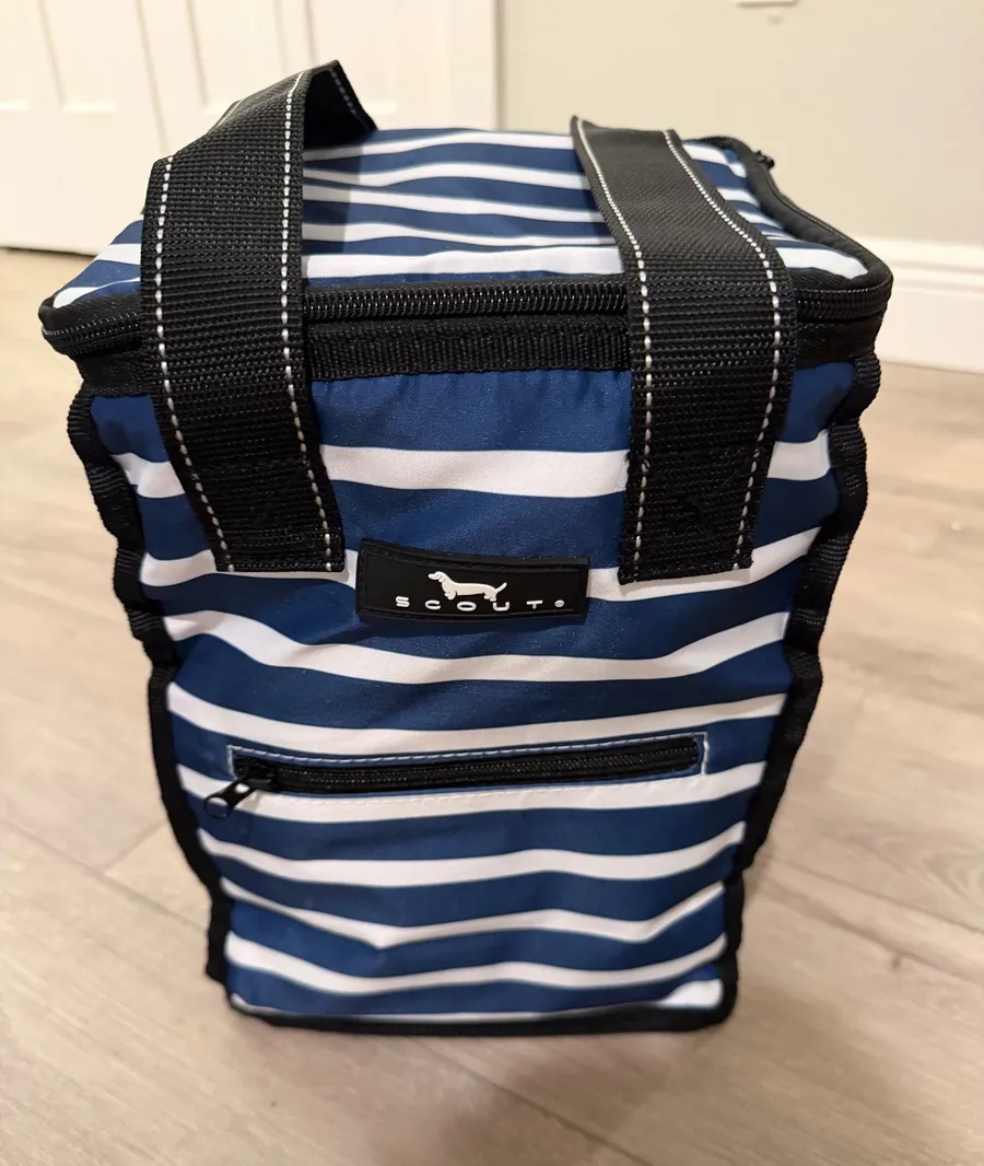 SCOUT Blue & White Striped Insulated Lunch Box Cooler Bag
