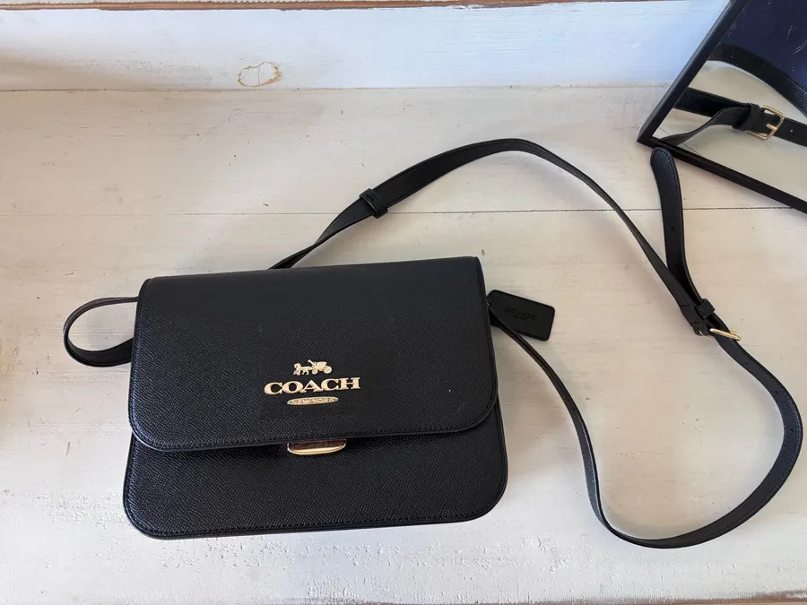 Coach Mini Brynn Crossbody