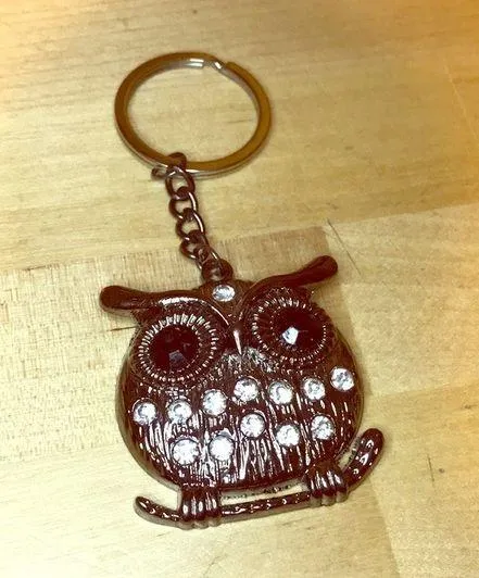 New crystal cz owl keychain great for teachers Gray