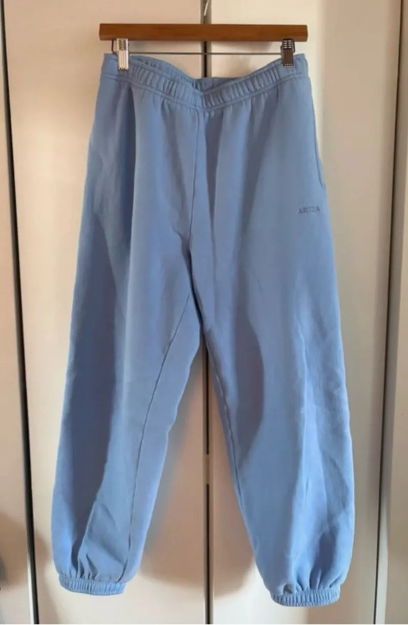 Aritzia sweatpants